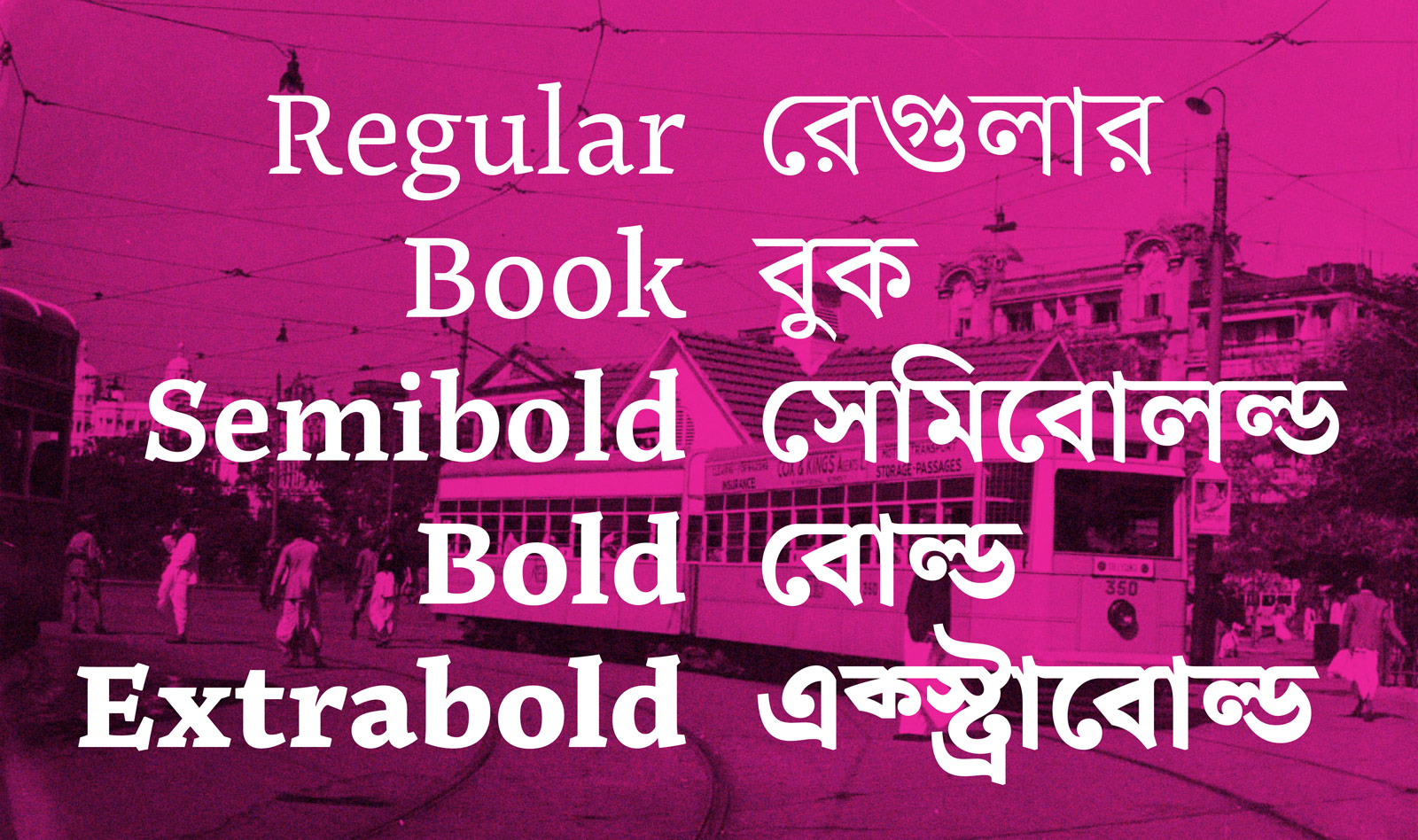 Noort Bengali by Juan Bruce