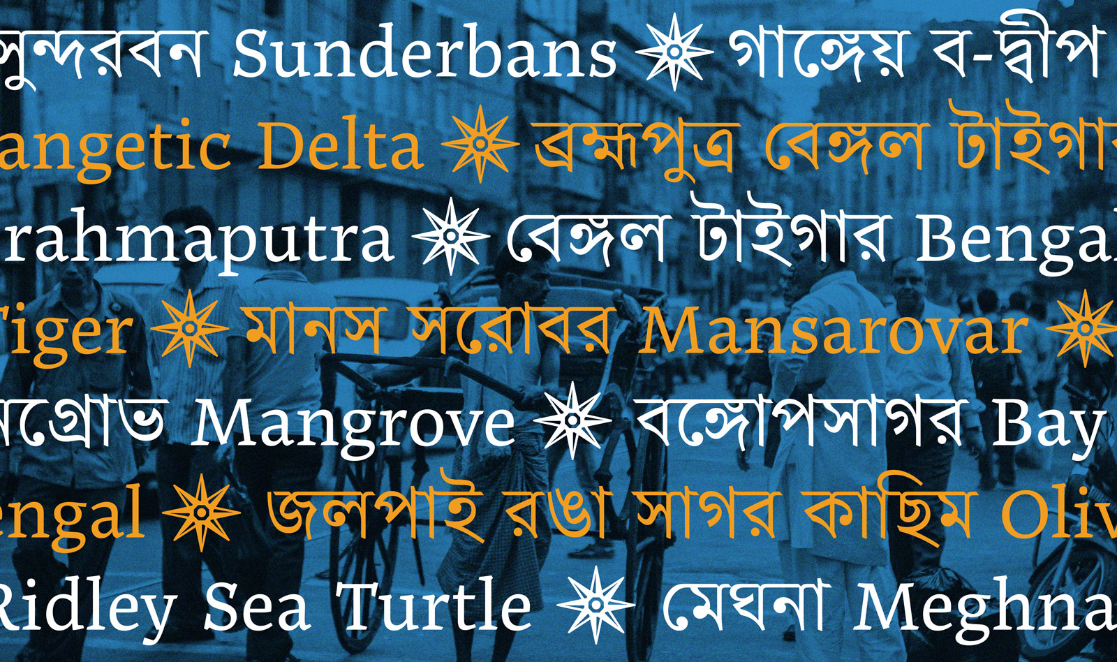Noort Bengali by Juan Bruce