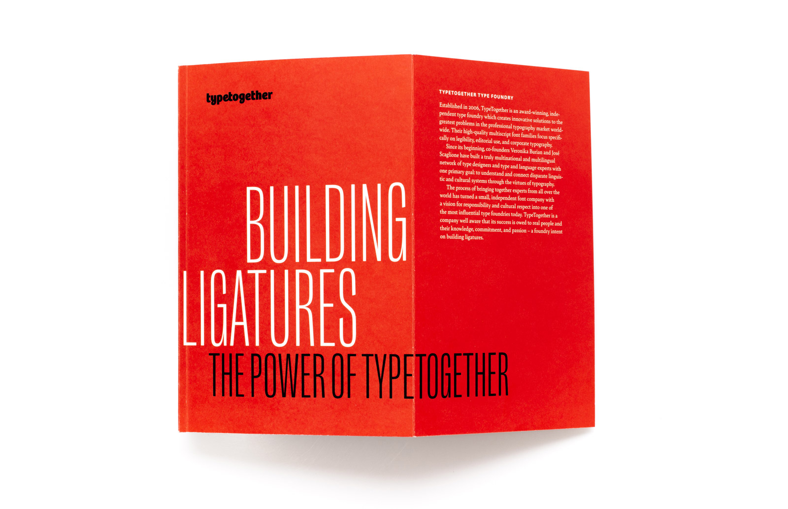 Building ligatures: the power of type