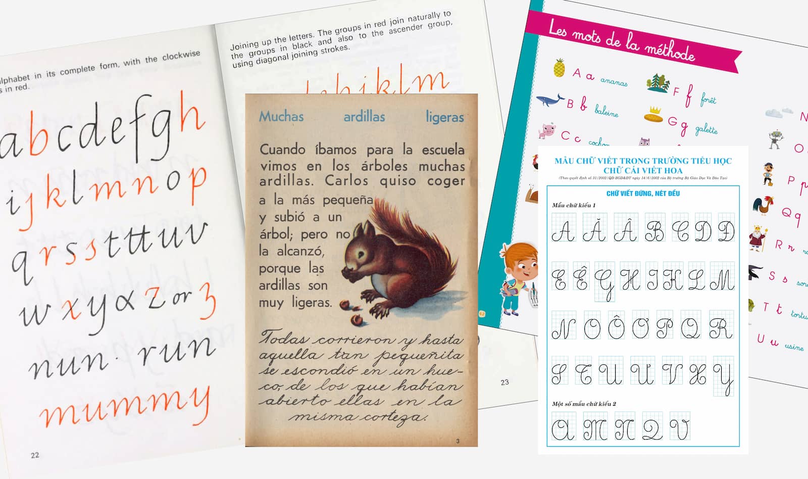 Primarium research by TypeTogether