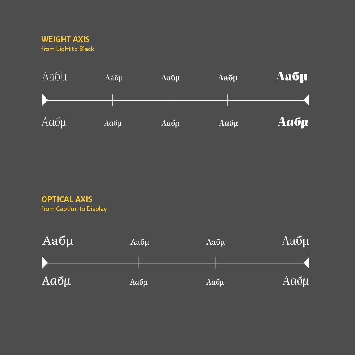 Literata design space axis