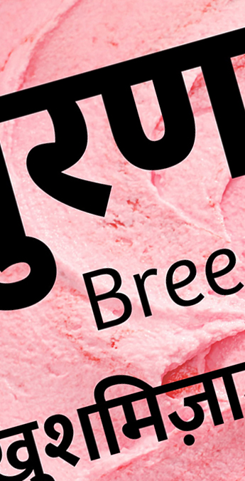 Custom Font for  - Bree Devanagari now on TypeTogether Premier by Typetogether