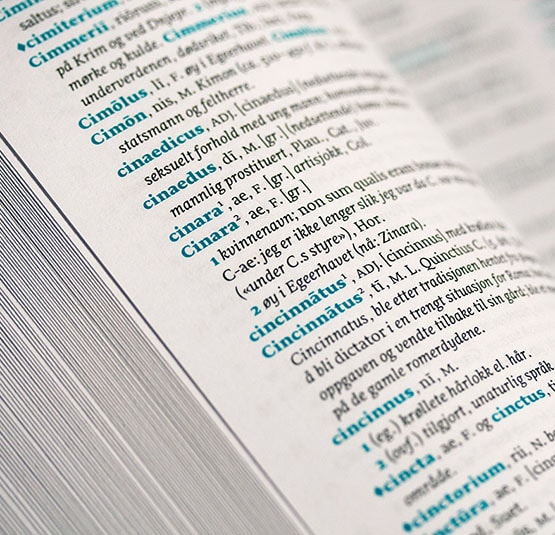Sirba was used in the Latin–Norwegian dictionary.