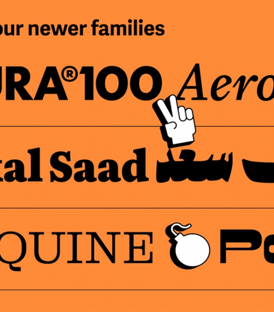 50% holiday discount