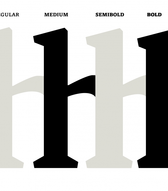 Sneak peek: Archibrazo family