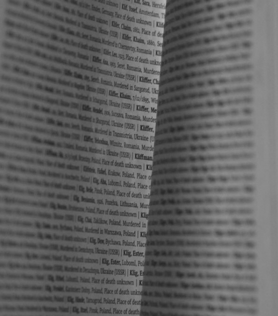 Noam Text in the Book of Names
